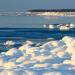 Белое море в россии Элементы береговой линии белого моря